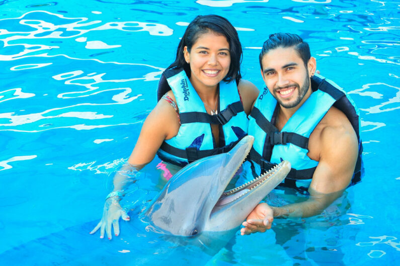Nada con Delfines en Cancun Isla Mujeres