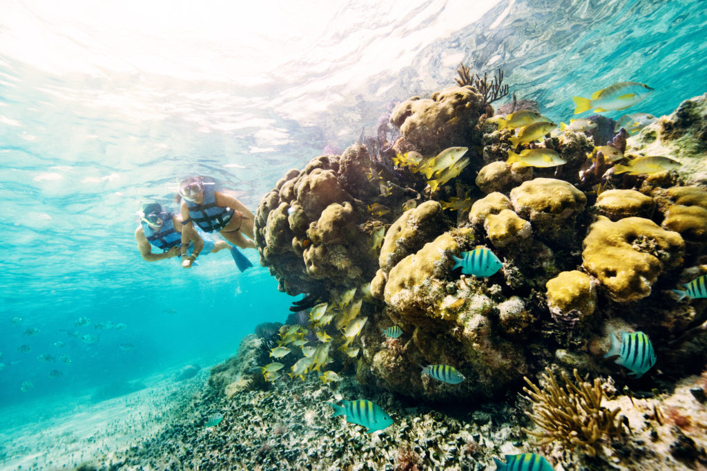 lugares para hacer snorkel en isla mujeres