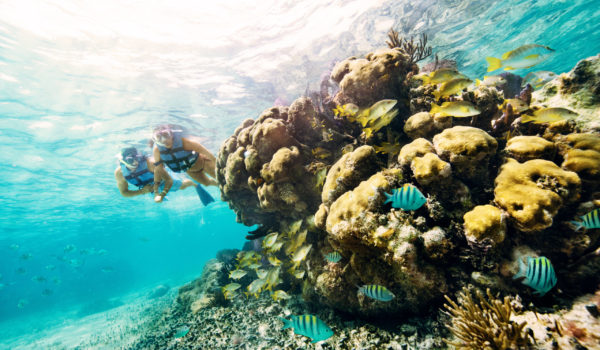 lugares para hacer snorkel en isla mujeres