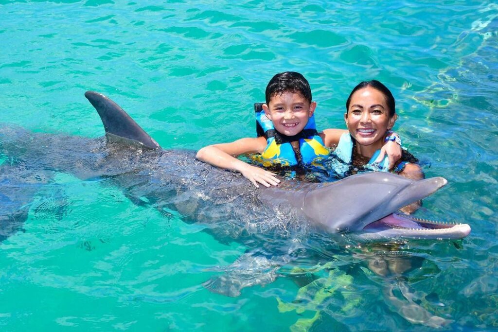 nado con delfines isla mujeres