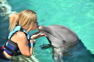 nadar con delfines cancun