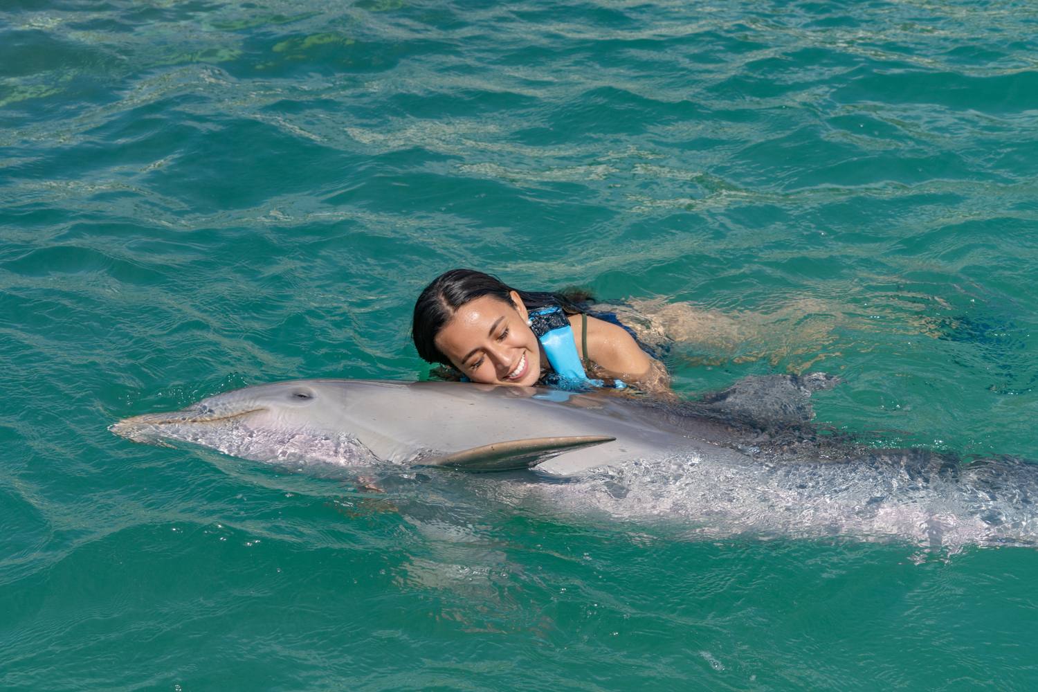 chica nadando con delfines en cancun 