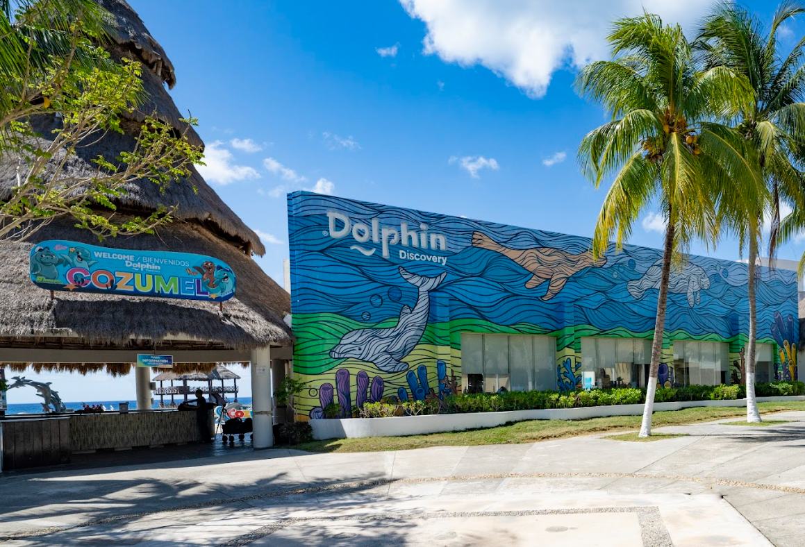 fachada de dolphin discovery cozumel