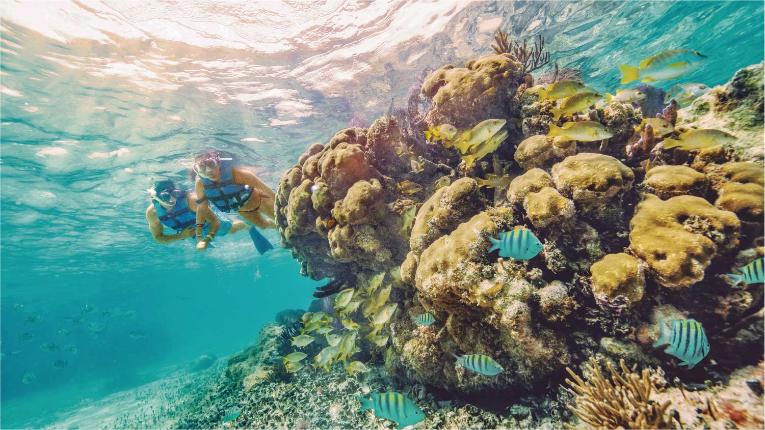 snorkel en el parque de arrecifes garrafon