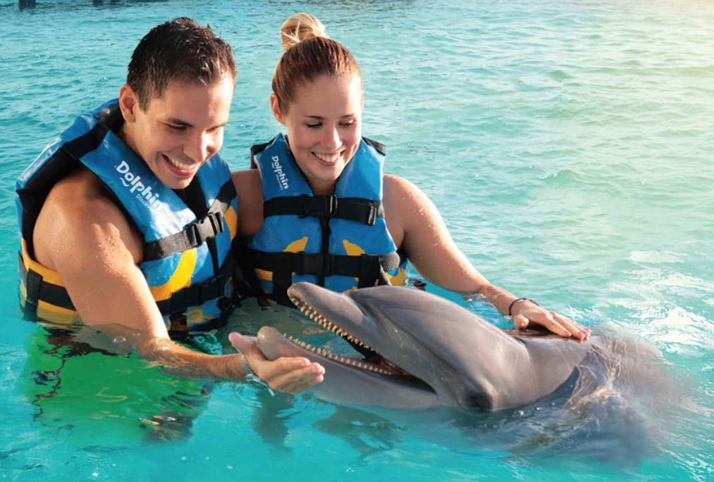 pareja nadando con delfines en isla mujeres 